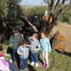 Visita al frantoio
